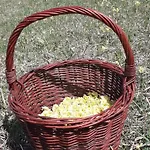 Cesta Z Mesta Na