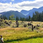 Cesta Z Mesta Na Huty