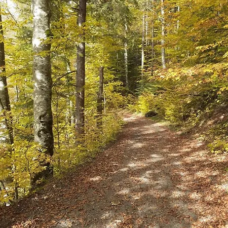 Casa vacanze Cesta Z Mesta Na Huty