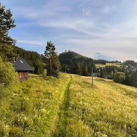 Cesta Z Mesta Na Casa vacanze *