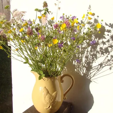 Casa vacanze Cesta Z Mesta Na Huty