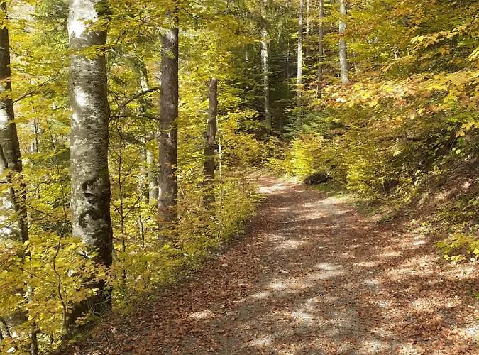 Feriehus Cesta Z Mesta Na Huty