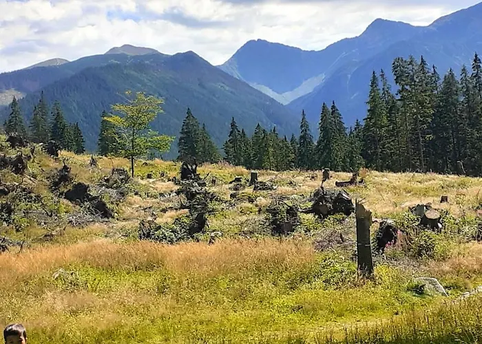 Cesta Z Mesta Na Huty