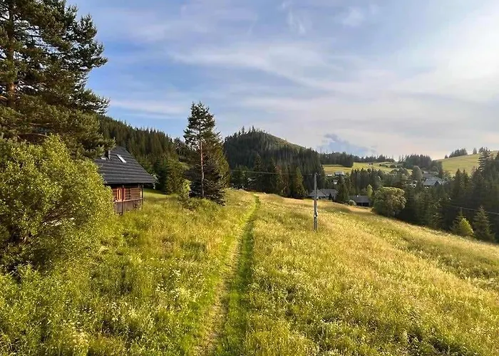 Cesta Z Mesta Na 別荘 *